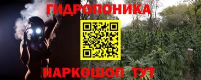 PSILOCYBIN Кулебаки
