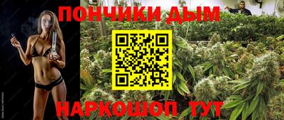 PSILOCYBIN Кулебаки