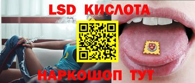 PSILOCYBIN Кулебаки
