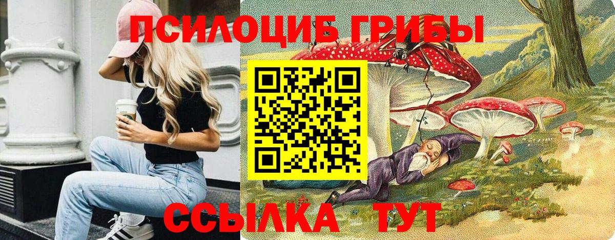 Псилоцибиновые грибы Psilocybe  Галлюциногенные грибы Cubensis  Камышин  купить наркотик  Вход с VPN 